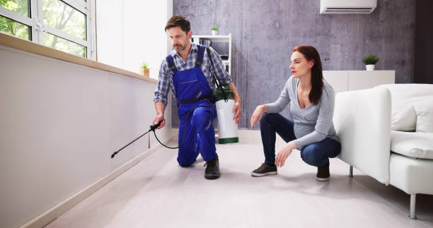 Best Pest Prevention Services  in USA